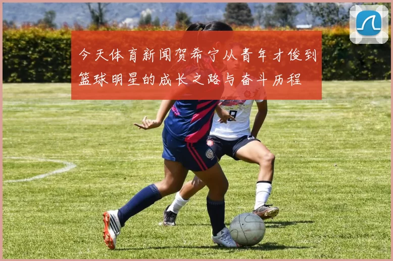 今天体育新闻贺希宁从青年才俊到篮球明星的成长之路与奋斗历程