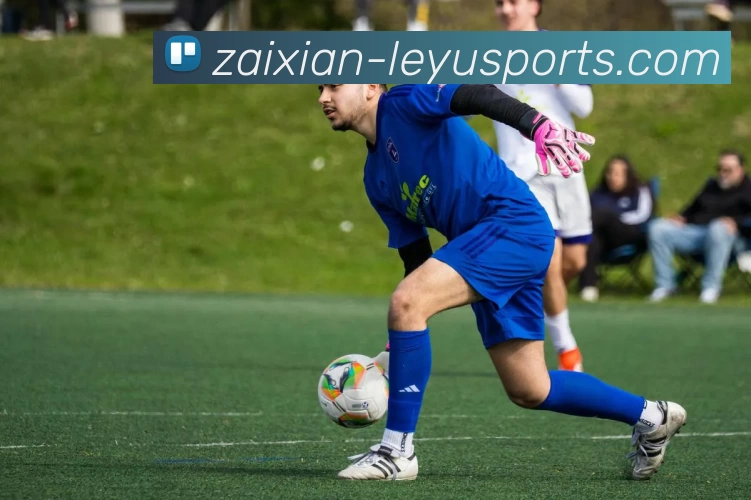 乐鱼官网品牌故事