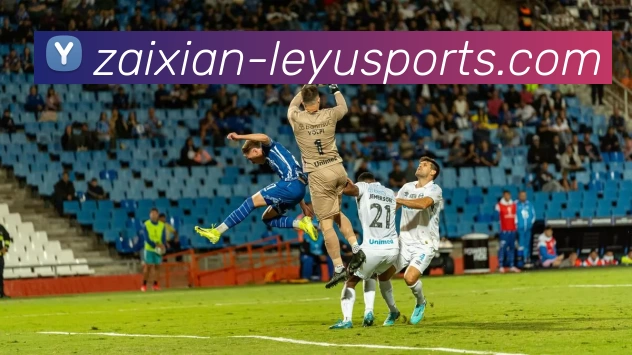 乐鱼官网服务体系